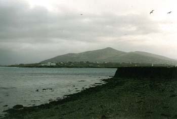 1.4.2003 Westirland - Valentia Island VII