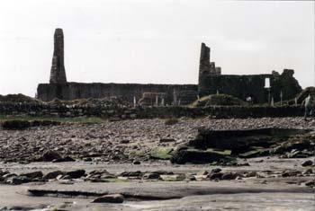 31.3.2003 Westirland - Horse Island X 31.3.03