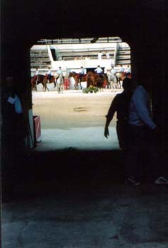 Nimes XIII 2003